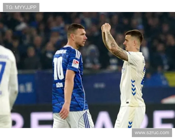 沙尔克旧将建议续约哲科 助球队冲击德甲